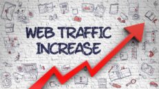 Get from 10,000 to 100,000 unique visitors (traffic) to your website